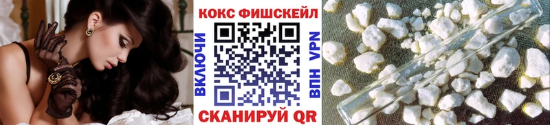Купить где  Дмитриев  Кокаин Columbia 