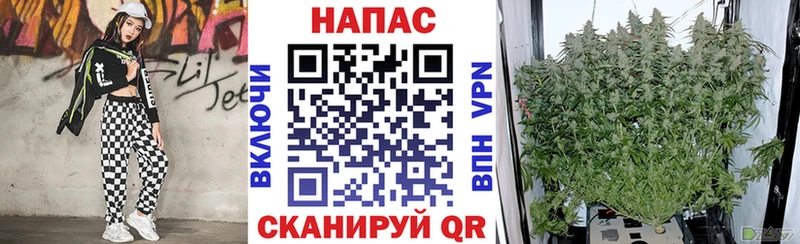 Конопля VHQ Купить закладки Дмитриев